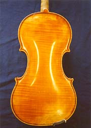 Violine hinten